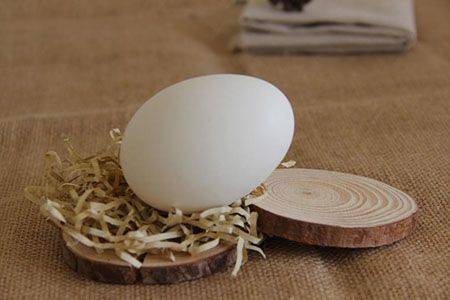 孕妇经常吃鹅蛋对我们的身体有什么样的好处？